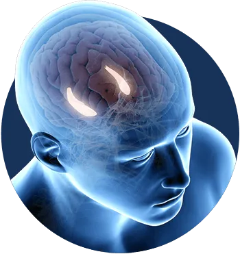 The Billionaire Brain Wave